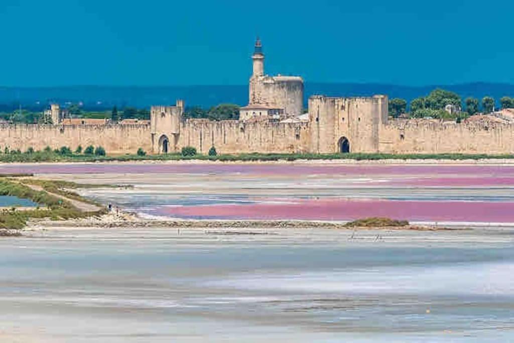 Maison Chaleureuse A 5 Mins Des Remparts Aigues-Mortes Buitenkant foto